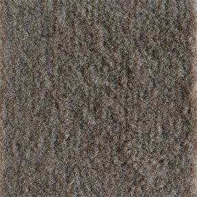 Toyota Camry Floor Mats AutoCustomCarpets