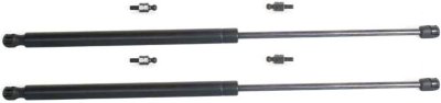 Dodge Durango Trunk Strut Replacement