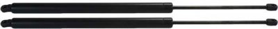 Honda Odyssey Tailgate Strut Replacement