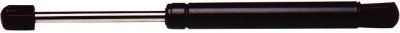 Dodge Durango Trunk Strut Strong Arm